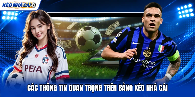 Các thông tin quan trọng trên bảng kèo nhà cái Các thông tin quan trọng trên bảng kèo nhà cái