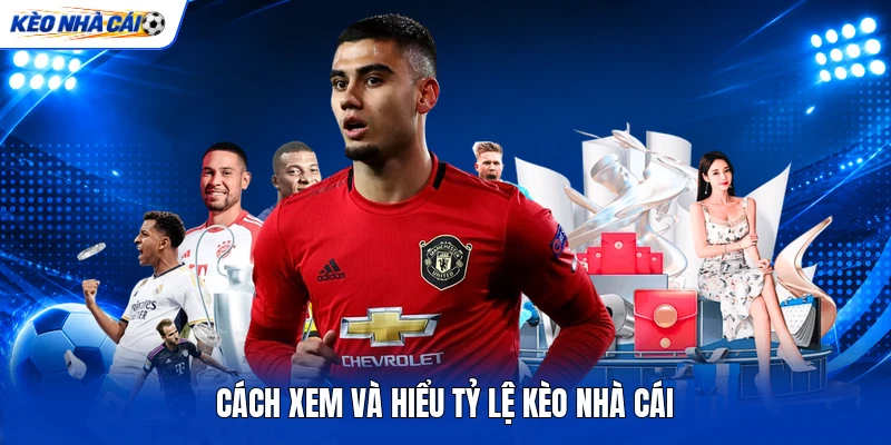 Cách xem và hiểu tỷ lệ kèo nhà cái Cách xem và hiểu tỷ lệ kèo nhà cái