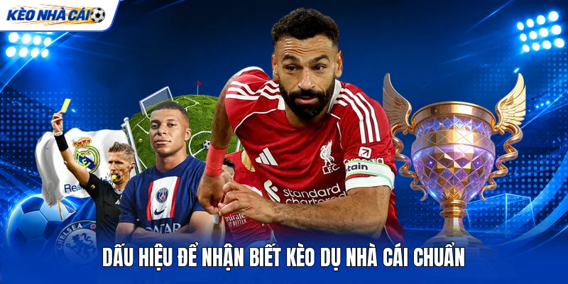 Dấu hiệu để nhận biết kèo dụ nhà cái chuẩn Dấu hiệu để nhận biết kèo dụ nhà cái chuẩn