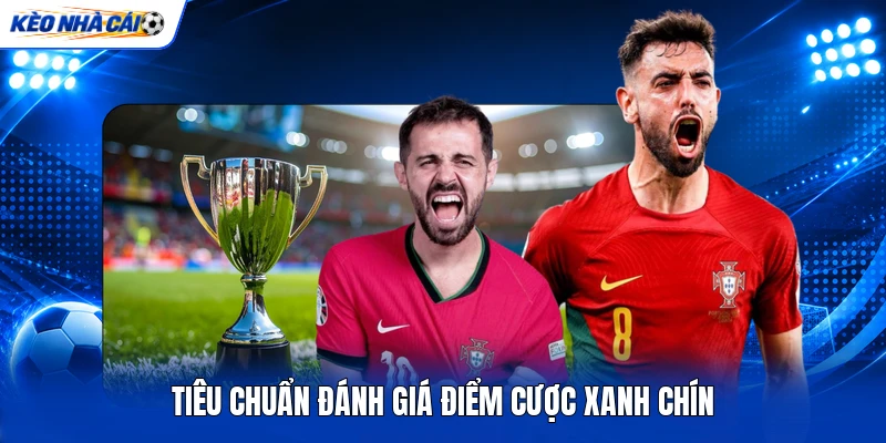 Tiêu chuẩn đánh giá điểm cược xanh chín Tiêu chuẩn đánh giá điểm cược xanh chín
